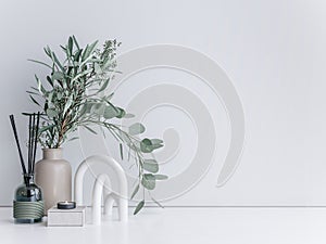 Interior minimal mock up, close up for Eucalyptus on white background