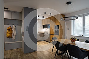 Interior of modern apartment - hallway and kitchen