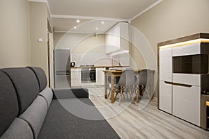 Interior of a modern apartment, living room, kitchen and dining room, small apartment.