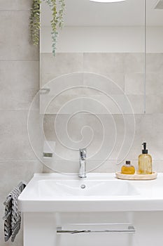 Interior of a modern bathroom. Front view of the sinks with a mirror and liquid soaps in front