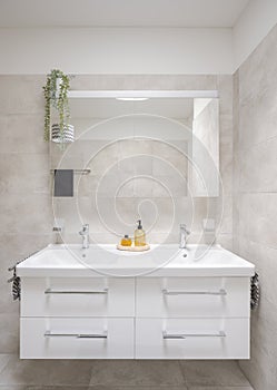 Interior of a modern bathroom. Front view of the sinks with a mirror and liquid soaps in front
