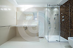 Interior of a modern bathroom with shower cabin