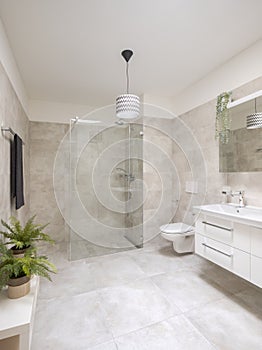 Interior of a modern bathroom. You can see the shower, toilet and washbasin. It is big with lots of space, two beautiful plants on