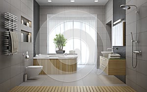 Interior of the modern design bathroom