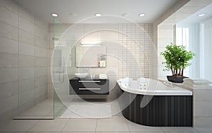 Interior of the modern design bathroom with jacuzzi