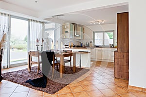 Interior of modern house kitchen