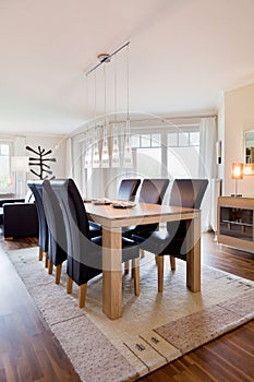 Interior of modern house kitchen