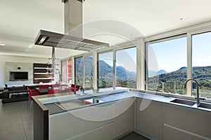 Interior, modern kitchen