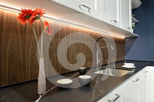 Modern white kitchen interior design.