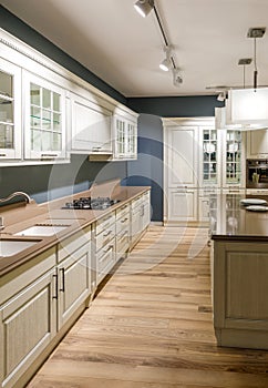 Interior of modern kitchen in white and blue tones