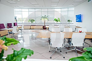 Interior of modern light empty open space office with big windows, table desks, chairs and green plants. Coworking workplace conce