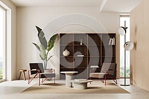 White living room interior with armchairs