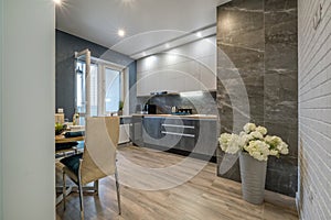 Interior of the modern luxure kitchen  in studio apartments in minimalistic style with dark color with granite walls photo