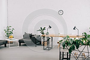 interior of modern office with furniture, plants and clock