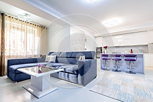 Interior of modern white studio apartment with kitchen