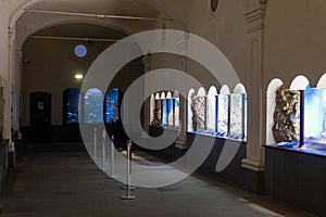 The interior of the museum, a hall with large exhibits and showcases. Naples Aquarium Anton Dorn is the oldest aquarium in all of