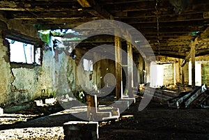 Interior of neglected cow barn