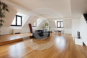 Interior, new loft photo