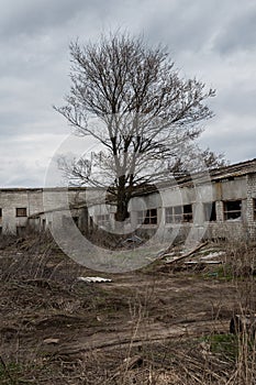 Interior of the old ruined abandoned barn for cows. Destroyed agriculture