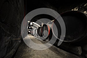 Interior of an old wine cellar, barrels