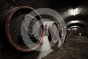 Interior of an old wine cellar, barrels