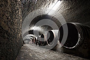 Interior of an old wine cellar, barrels