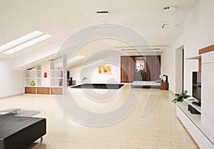Interior of penthouse 3d render photo