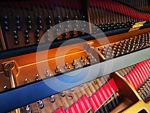 Interior of piano - tuning buttons