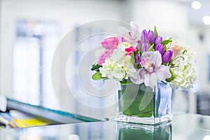 Interior of Reception at the clinic