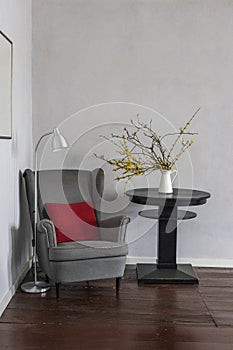 Interior recreation area. Armchair and reading lamp