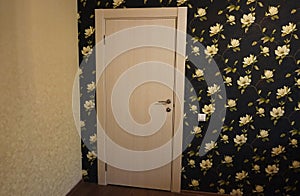 The interior of a room installed with a new interior. door.The installed door harmoniously complements the interior of the room, b