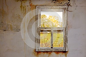 Interior of a ruined house with old, dirty and cracked white wall and a broken window frame with a green meadow field view