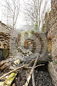 Interior of ruined large mill house with trees and shambles