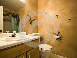 Interior shot of a bathroom with modern design