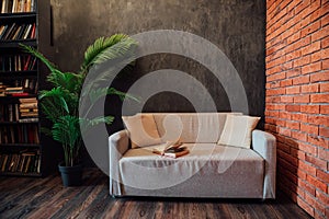 Interior Sofa Decorative Flower Shelf with Books in a Room with Brick Wall