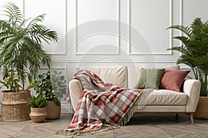 Interior with sofa, plants, and plaid on white wall