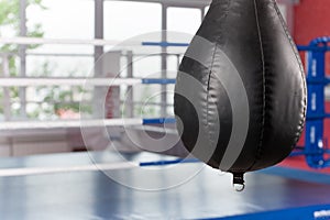 Interior of spacious gym with punching bags.