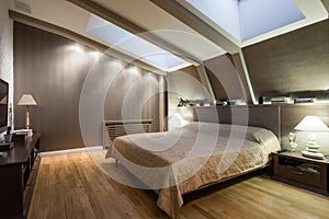 Interior of a specious luxury bedroom