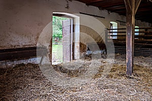 Interior of stable in horse breeding in Florianka, Zwierzyniec, Roztocze, Poland. Clean hay lying down on the floor. Drinker and