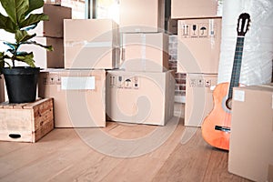 Interior, storage and box by plant in new house, apartment or property for moving, relocating or purchase a home photo
