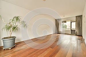 interior of a stylish empty room