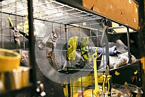 Interior of a stylish workshop with tools