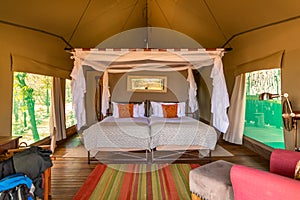 Interior tented camp, Ongava private game reserve, Namibia.