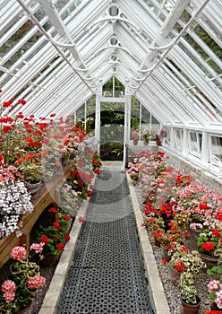 Interior Of A Traditional Greenhouse