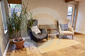 Interior View Of Beautiful Lounge With Armchairs And Potted Plant In Family House