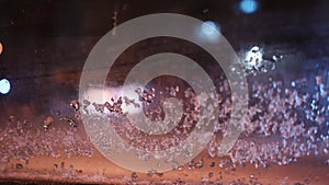 Interior view of a car windshield with sleet falling on the window. Blurred vision through glass Rain on the window