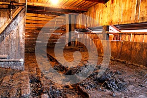 Interior view of an old wooden barn with fresh manure. Cow Shed