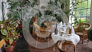 Interior view of OranÅ¾erie greenhouse, located next to Radun Castle, Opava, in the Czech Republic