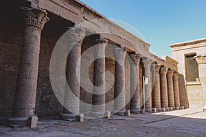 Interior View of the Temple of Edfu with Carved Pillars and Ancient Egyptian Drawing on the Wall