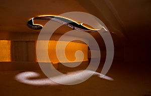 Interior view of a Violin